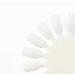 SOPHi Vegan Nail Polish - White (Snow More Cold Feet) | Non-Toxic, Low Odor, Cruelty-Free - Buy Online on GoSupps.com
