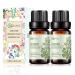 2-Pack Myrrh Essential Oil - 100% Pure Organic Natural Plant (Commiphora myrrha) Myrrh Oil for Diffuser Aroma Spa Massage Yoga Perfume Body - 2x10ML