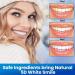 Vueix Teeth Whitening Strips 5D - 14 Sets for Smoking/Coffee Stain Removal | Home Tooth Whitening Kit - 28pcs White Strips - Buy Online on GoSupps.com