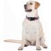 Unique Rosa Flower Dog Collar - Halison College Style Adjustable & Durable for Small to Large Dogs - Buy Online on GoSupps.com