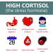 Holistic MD Lower Cortisol for Women and Men - Best Cortisol Blocker with Clinically Researched Ingredients - Sugar Free with Monk Fruit - 60 Chocolate Strawberry Flavor Gummies - Buy Online on GoSupps.com