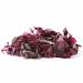 Buy Dulse Bio Atlantic Algae Leaves - Organic Raw Wild Seaweed (40g) | Vegan Umami Vegetable Bacon | Pureeraw - International Shipping Available - Buy Online on GoSupps.com