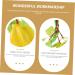 Abaodam 2 Strings Simulation Fruit Hanging String Household Decor Fake Fruit Decor Educational Playthings As Shown 55X7.5X7.5CM - Buy Online on GoSupps.com