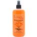 Eclectic Lady Honeysuckle Body Spray 16 ounces Regular Strength 16 Fluid Ounces