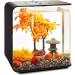 Buy Biorb 55027 Decor Set 30L - Realistic Aquarium Decoration with Plants Roots & Stones for Freshwater & Saltwater - Autumn 30L - Buy Online on GoSupps.com