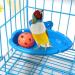 Hanging Bird Bath Tub for Parrot Cage - Shower Box, Feeder & Water Tray Accessories - Buy Online on GoSupps.com