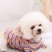 Buy AMAONE Chihuahua Dog Coat - Leopard Bowknot Winter Jacket - XS Size for Small Dogs - Multicolor Knitted Pet Clothing - Buy Online on GoSupps.com