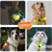 Laroo Security LED Flashing Light for Dogs & Cats - 3 Turn Signal Safety Light for Walking & Outdoor Sports - Rechargeable Green & Yellow - Buy Online on GoSupps.com