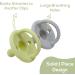 Silicone Pacifier 4 Pack Silicone Soother Set Silicone Newborn Pacifiers With Handle & Safety Airholes Baby Pacifier Binky Set o1baby (Green Grey) - Buy Online on GoSupps.com