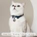 Whoseid QR Code Cat ID - Changeable Pet Profile Emergency Contacts & Quiet Silicone Tag for Small Breeds (Rose 2.5 cm) - Buy Online on GoSupps.com