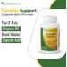 Rachelstea Candida Support Intestinal Flora with PAU D'Arco Oregano Oil Black Walnut and Caprylic Acid 90 Veg Capsules A Dietary Vegetarian/Vegan Supplement - Buy Online on GoSupps.com