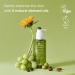 PURITO From Green Cleansing Oil Renewal 6.76 fl.oz / 200ml Gentle Facial Cleanser Cruelty-free & Vegan Nature-derived Oils 200 ml (Pack of 1) - Buy Online on GoSupps.com