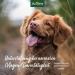 Aniforte Indian Psyllium Husks for Dogs Cats & Horses - 1kg Fiber-Rich Raw Food Quality Supplement - Buy Online on GoSupps.com