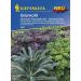 Kiepenkerl 2947 Kale Smoothie Mix - Kale Mix (Kale Seeds)