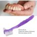 Double-Sided Press Brush for False Teeth Cleaning | Plaque Removal Prosthesis Brush for Seniors | Travel-Friendly Dental Care Tool (Purple) - Buy Online on GoSupps.com