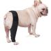 Housoutil Knee Pads Puppy Dog Nose Balm Dogs Knee Leg for Dog Protector Pet Four-Legged Clothing S As Shown - Buy Online on GoSupps.com