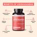 Further Food Premium Ashwagandha 1325 mg - Maximum Strength 120 Veg Capsules - Buy Online on GoSupps.com