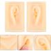 Baluue Ear Model Display - Acupoint Learning Tool & Ear Cleaning Practice Props - Ideal for Hearing Aid & Earplug Simulation - Buy Online on GoSupps.com