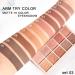AMY'S DIARY 10 Colors Matte Nude Eye Shadow Palette - High Pigmented & Long Lasting Neutral Eyeshadow Palette for Women - Buy Online on GoSupps.com