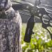 TACTACAM Solo Xtreme Action Camera - Ultra HD 1080 60 FPS for Hunting, Fishing, and Adventure - Buy Online on GoSupps.com