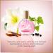 Gloria Vanderbilt Minuit New York Eau de Parfum Spray 100 ml - Buy Online on GoSupps.com