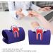 Verdant Touch Tooth-Shaped Card Holder - Purple Dental Stand & Gift for Dentists | Set of 2 - Buy Online on GoSupps.com