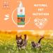 MENFORSAN 3-in-1 Supplementary Feed for Dogs and Cats - 500ml | Premium Pet Nutrition | International Shipping - Buy Online on GoSupps.com