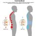 Premium Lumbar Decompression Belt for Lower Back Pain Relief - Men and Women (29-49 inch Waists) - Buy Online on GoSupps.com