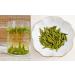 Premium Xihu Longjing Green Tea Leaves 125g - Freshly Picked Before Qingming - Buy Online on GoSupps.com