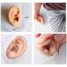HUNIU Silicone Human Ear Model Earring Display Tool - White Left Ear for Hearing Aid Practice - Buy Online on GoSupps.com