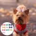 Buy Luliyldj 10-Piece Dog Hair Clips & Grooming Accessories | Bowknot Headgear for Small & Medium Dogs and Cats | Pet Care Essentials - Buy Online on GoSupps.com