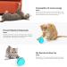 WWVVPET Interactive Cat Toy Ball with LED Light - 360 Self-Rotating USB Rechargeable | Fun Hunting Instinct Stimulation for Cats - Buy Online on GoSupps.com