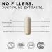 ACEWORKZ Elite Brain Supplement - Nootropic for Focus Memory & Clarity | Natural Energy Caffeine-Free | 60 Capsules - Buy Online on GoSupps.com