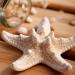 Shop Demarkt Starfish Hair Clips | Stylish Hair Accessories & Hairpins for All Occasions - Buy Online on GoSupps.com