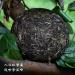 HELLOYOUNG 200g de g teau au th Pu'er chinois biologique au go t moelleux Sans additifs aliment vert avec un ar me original et s duisant Th pu-erh Pu'er Tea - Buy Online on GoSupps.com