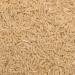 Wholefood Earth Organic Jasmine Brown Rice 250g - GMO Free, Vegan, High Fiber, Certified Organic - Buy Online on GoSupps.com