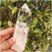 Collection Large Clear Lemurian Seed Quartz Natural Point Cluster Crystal Rough Healing - Buy Online on GoSupps.com