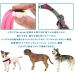 Buy Ferplast Agila Fluo 3 Ergonomic Dog Harness - Perfect Fit Soft Upholstery 37-57 cm Pink | International Shipping Available - Buy Online on GoSupps.com