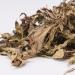 cn herb 250g Dried Mugwort Leaves Soak Feet In A Bath - Buy Online on GoSupps.com