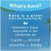Noble KAVA Herbal Supplement for Relaxation 16 Oz (454g) Promotes Rest and Calmness Imported from Fiji - Buy Online on GoSupps.com