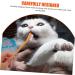 GRIRIW 8pcs Double Head Dog Toothbrush Dog Toothbrush and Toothpaste Dog Toothbrushes Pet Toothpaste Pp - Buy Online on GoSupps.com