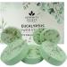 Serenity Select Eucalyptus Shower Steamers - Organic Aromatherapy Bombs with Essential Oil for Stress Relief & Relaxation - 6 Vapor Tablets - Perfect Stocking Stuffer for Christmas & Hanukkah - Buy Online on GoSupps.com