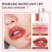 Charm Kiss Hydrating Lip Glow Oil - Transparent Plumping Lip Gloss for Lip Care - Rosewood Tinted Moisturizing Lip Oil - Buy Online on GoSupps.com