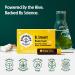 Beekeeper's Naturals B. LXR Brain Fuel - 3 Vials (0.35 fl oz each) for Enhanced Focus - Buy Online on GoSupps.com