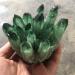 Specimen Green Ghost Phantom Quartz Crystal Cluster Rock Stones Crystals ReikiSpecimen Home Decor GiftStone Full of Texture (Size : 500-600g)
