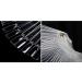 Yueton 2 Set 100 Tips Transparent Fan-shaped Nail Art Display Practice Sticks Tool - Buy Online on GoSupps.com