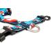 Max & Molly H-Harness - Frenzy The Shark | XS - International Shipping Available - Buy Online on GoSupps.com