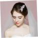FRCOLOR 1PC Pearl Hair Comb Hair Comb pin women crystal Hair Comb Clips Wedding Headpieces bling hair Tiara diamond Hair Comb bridal headpiece Wedding Hair Comb fine bride hair accessories - Buy Online on GoSupps.com