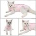 Coppthinktu Cat Recovery Suit - Breathable E-Collar Alternative for Abdominal Wounds & Skin Diseases - Post Surgery Wear for Cats & Dogs - Anti-Licking - Small Pink - Buy Online on GoSupps.com