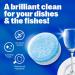 OceanSaver Eco-Friendly Dishwasher Tablets - Pack of 100 | Non-Toxic & Plastic-Free Dish Washing Tablets for Sustainable Cleaning | All in One Plant-Based Dishwasher Salt & Rinse Aid for Tough Stains 1 count (Pack of 100) - Buy Online on GoSupps.com